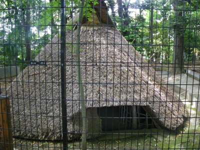 代々木八幡宮 代々木八幡遺跡